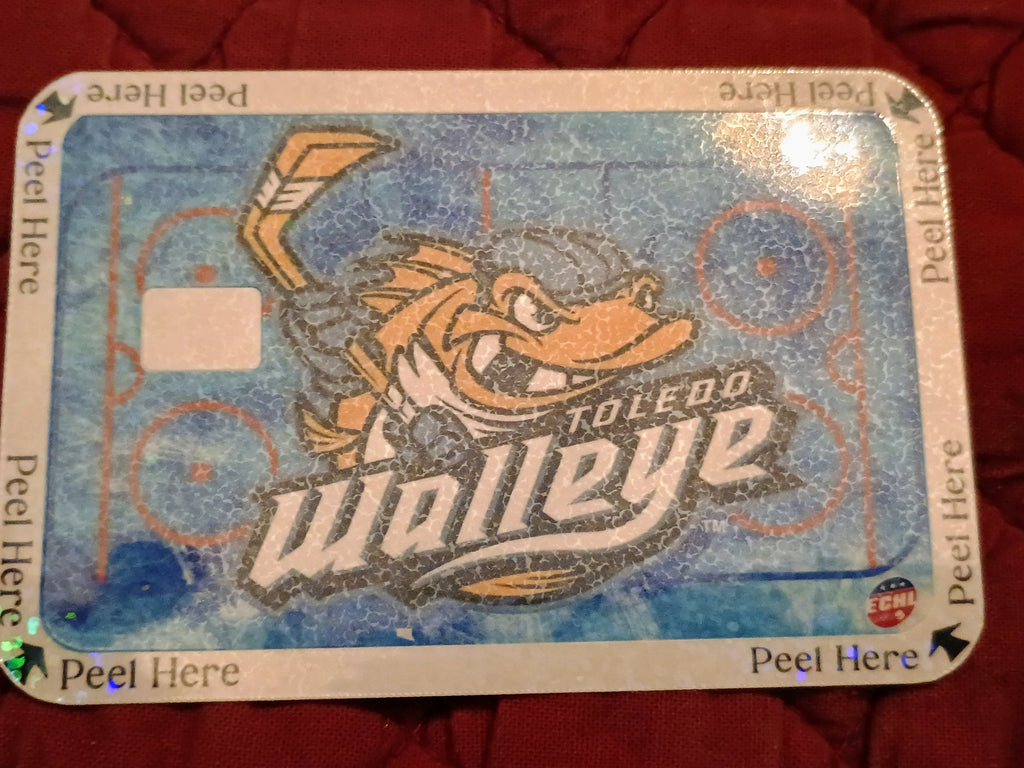 Credit Card Skins